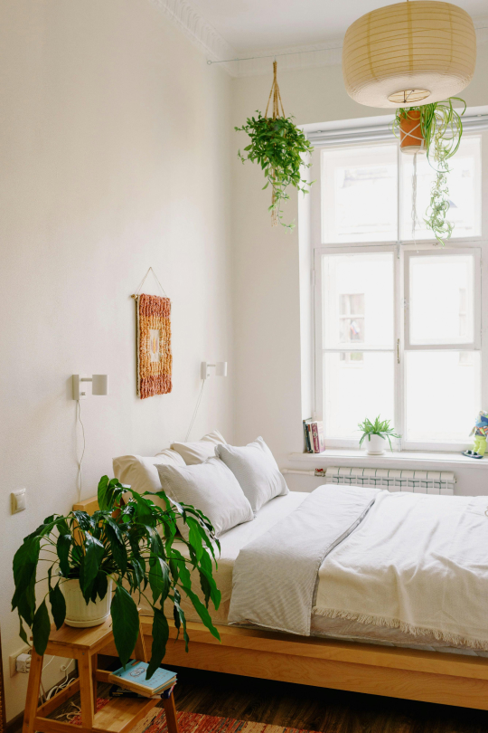 Chambre lumineuse avec plantes — bien d'investissement sur-mesure